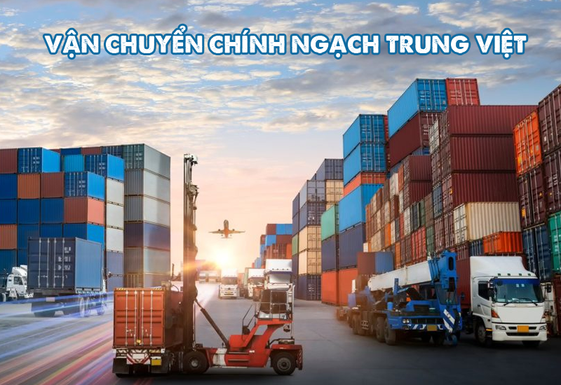 Vận Chuyển Chính Ngạch